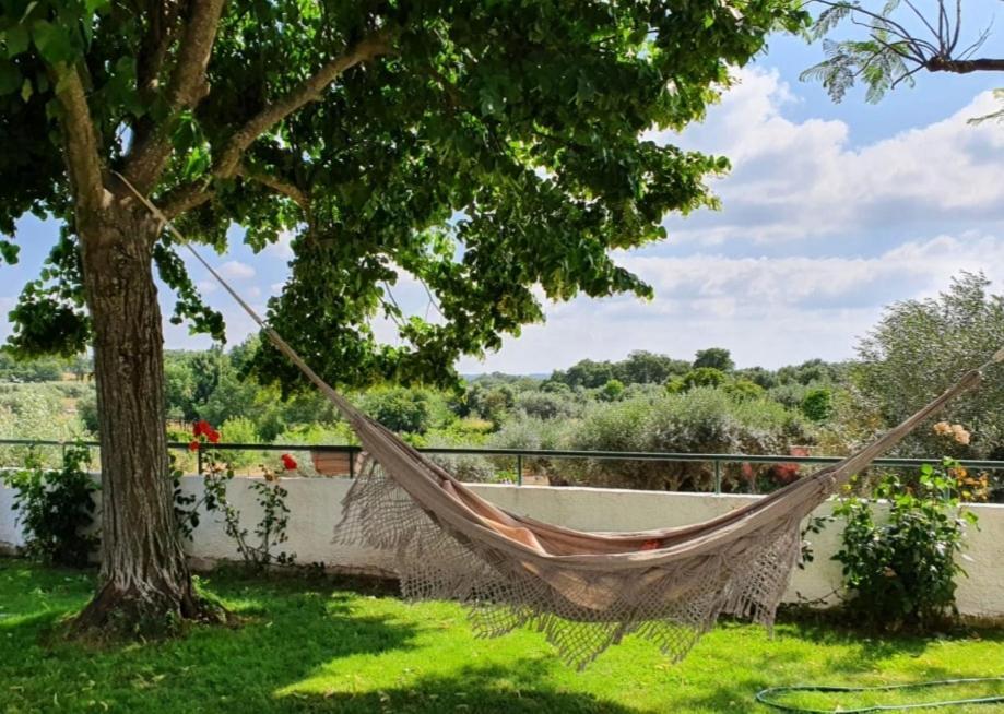 Alto Do Sobreiro Holiday home
